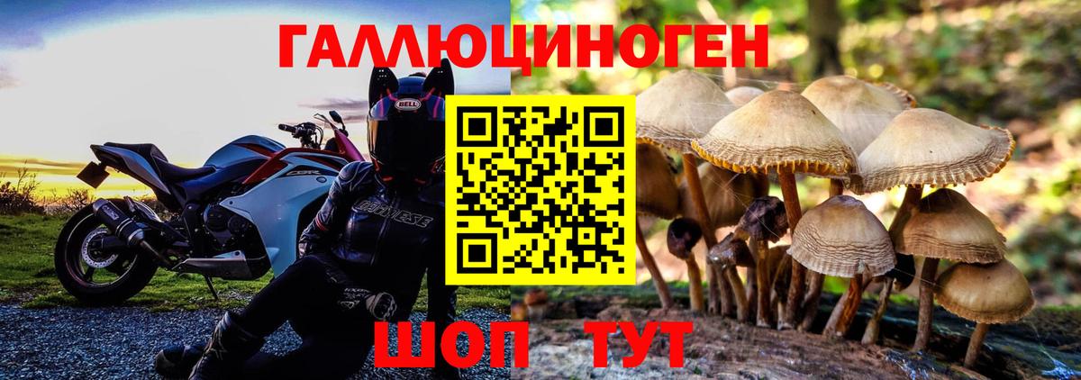 Минеральные Воды  Псилоцибиновые грибы Cubensis  купить наркотик  Псилоцибиновые грибы ЛСД  Вход с VPN 