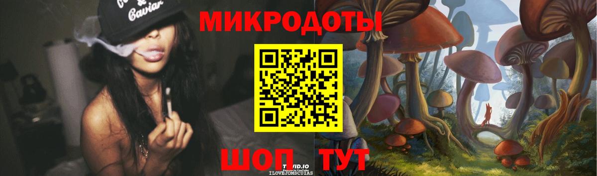 Галлюциногенные грибы Psilocybe Минеральные Воды